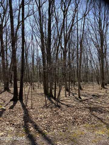 Lot 116 Beech Tree Court, Hawley, PA 18428