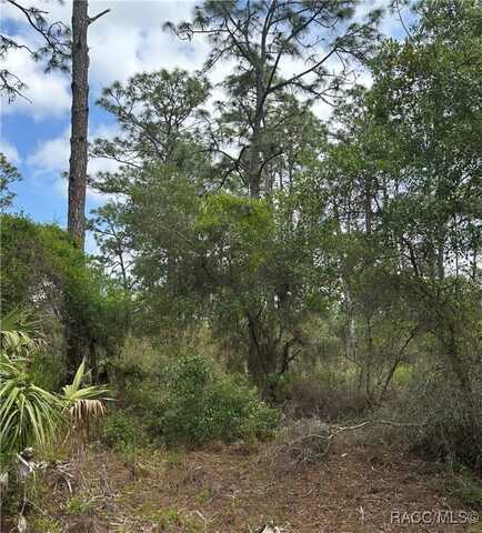 11647 W Cockscomb Drive, Crystal River, FL 34428