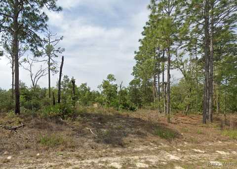 1820 W Pendleton Street, Dunnellon, FL 34434