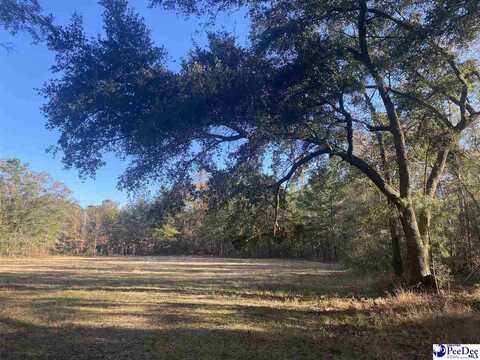 Henderson Rd, Varnville, SC 29944