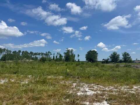 Lot 1 Margies Ln, Wewahitchka, FL 32465