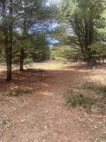 E3991 ALLEN Road, OGDENSBURG, WI 54962