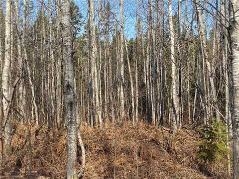 Near Bear Lake Road, Butternut, WI 54514