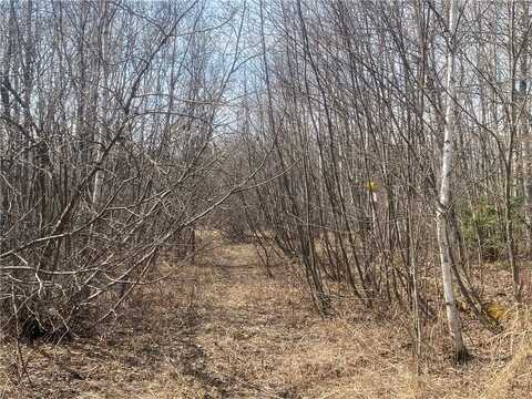 ON Skinner Creek Lane, Kennan, WI 54537