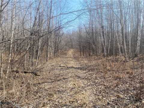 ON Up River Road, Phillips, WI 54555