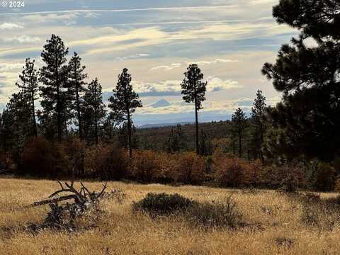 0 JENSEN QUARRY RD, Bickleton, WA 99322
