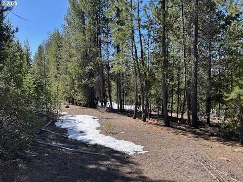 33 Emerald Meadows WAY, Crescent Lake, OR 97733