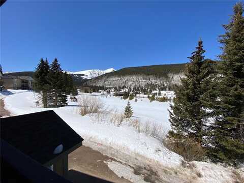 107 PEAKS VIEW COURT, Blue River, CO 80424