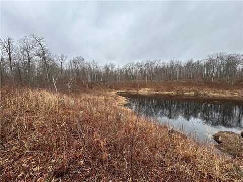 Tbd Fawn Trail NE, Longville, MN 56655