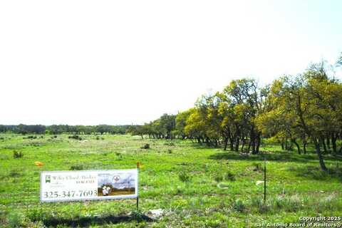 2972 S Ranch RD 783, Harper, TX 78631