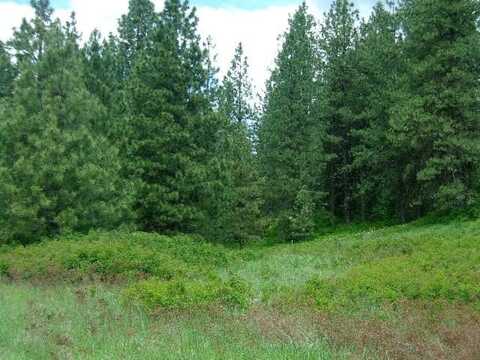 Tbd Hoag Rd, Valley, WA 99181
