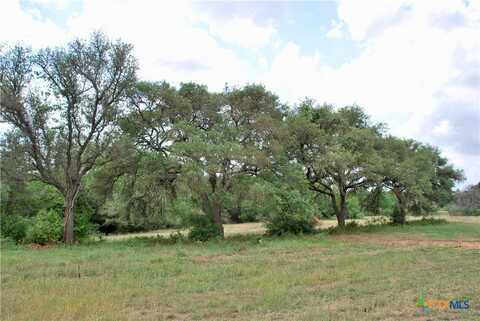 2679 FM 318, Yoakum, TX 77995