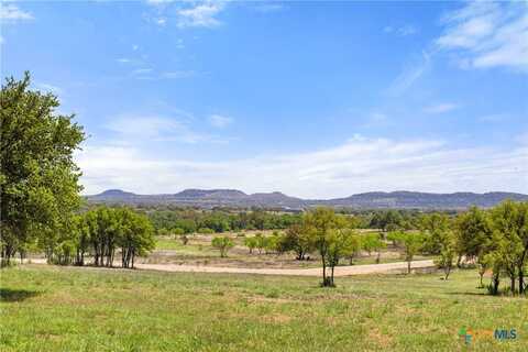 1318-1 Klett Ranch Rd, Johnson City, TX 78636
