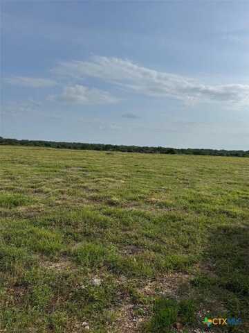 Tbd FM-237, Meyersville, TX 77974