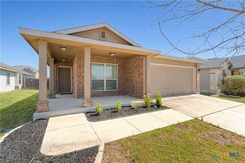 2297 Olive Hill Drive, New Braunfels, TX 78130