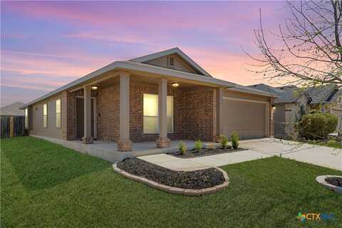2297 Olive Hill Drive, New Braunfels, TX 78130