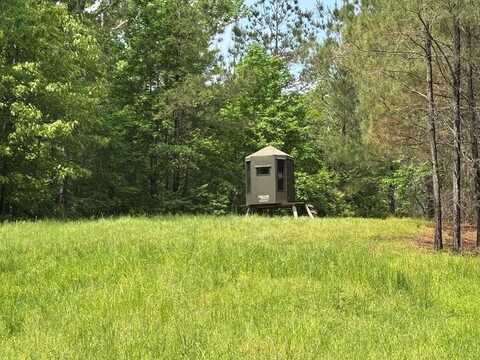 2048 Ashley Rd, Hazlehurst, MS 39083