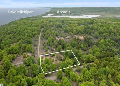 15380 Lake Bluff Drive, Arcadia, MI 49613