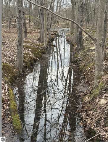 00 W Deborah Ann Trail, Empire, MI 49630