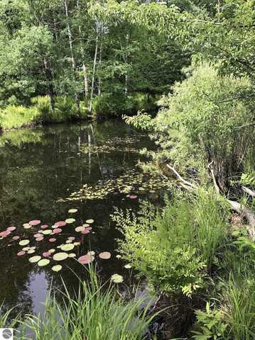 00 W Deborah Ann Trail, Empire, MI 49630