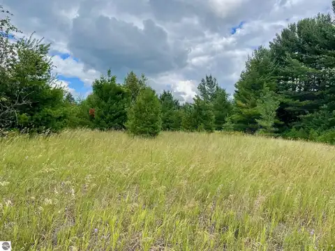 987 Quail Drive, Kalkaska, MI 49646