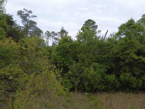 44271 SW FR 115, Bristol, FL 32321