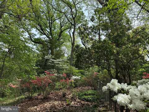 3667 N HARRISON STREET, ARLINGTON, VA 22207
