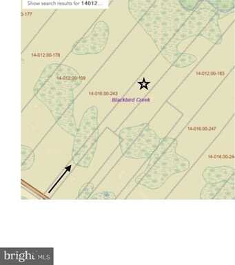 583 BLACKBIRD LANDING ROAD, TOWNSEND, DE 19734