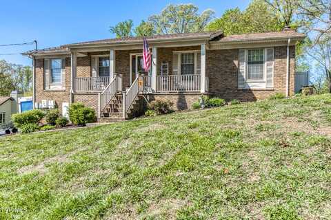 607 Dover Avenue, Mount Carmel, TN 37645
