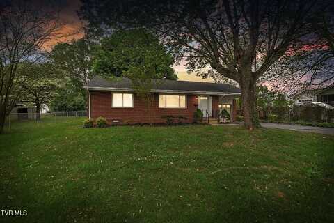 1313 Putnam Street, Kingsport, TN 37660