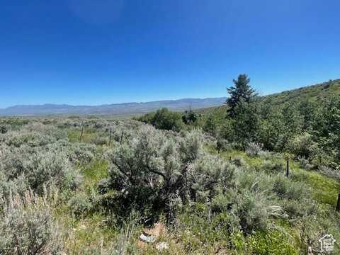 1234 N MINES CANYON RD, Downey, ID 83234