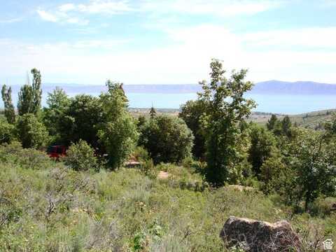 1041 S LAKEVIEW, Garden City, UT 84028