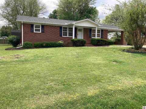 1511 Henry Street, Murray, KY 42071