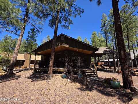3233 Turkey Track Road, Pinetop, AZ 85935