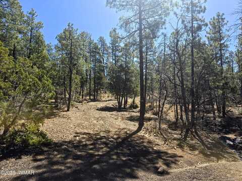 2501 S Pine Wood Lane, Pinetop, AZ 85935