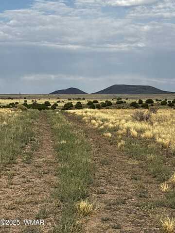 113 Harry Drive, Concho, AZ 85924
