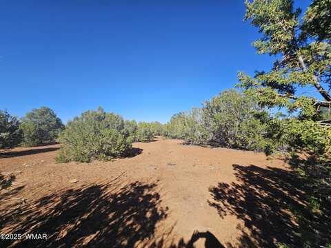 21 Co Rd 8032, Concho, AZ 85924