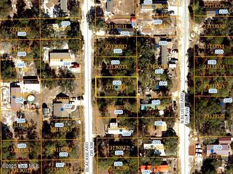 2342 Blackbeard Drive SW, Supply, NC 28462