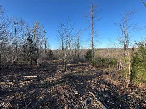 Tract 1 NC 8374 RD, Jasper, AR 72641