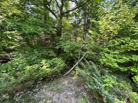 NHN Renwick Circle lot: 152 & 153, Presque Isle, MI 49777