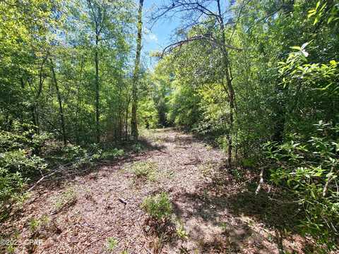 Lot 5 Gardenia, Marianna, FL 32448