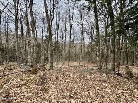 0 Turner Hill Rd, Monroe, MA 01350