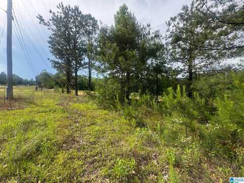 0 COUNTY ROAD 349, MAPLESVILLE, AL 36750