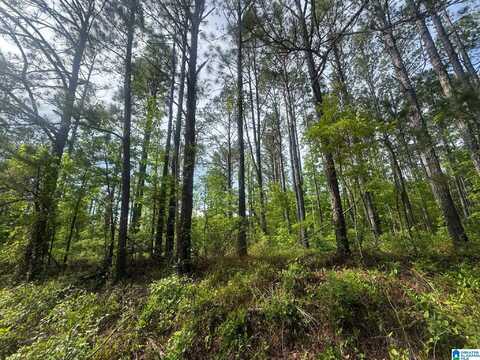 0 COUNTY ROAD 349, MAPLESVILLE, AL 36750