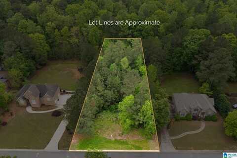 240 WOODBRIDGE TRAIL, CHELSEA, AL 35043