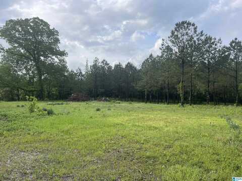 2760 MITCHELLVILLE ROAD, OHATCHEE, AL 36271