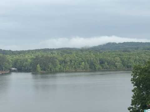 0 RIVER TERRACE DRIVE, TALLADEGA, AL 35160