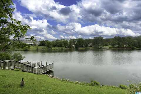 641 TREYMOOR LAKE CIRCLE, ALABASTER, AL 35007