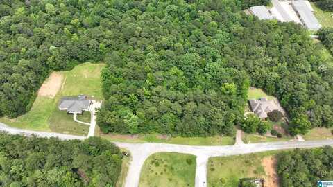 PINE FOREST LANE, WEST BLOCTON, AL 35184