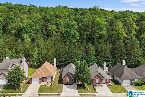 4116 FOREST LAKES ROAD, STERRETT, AL 35147